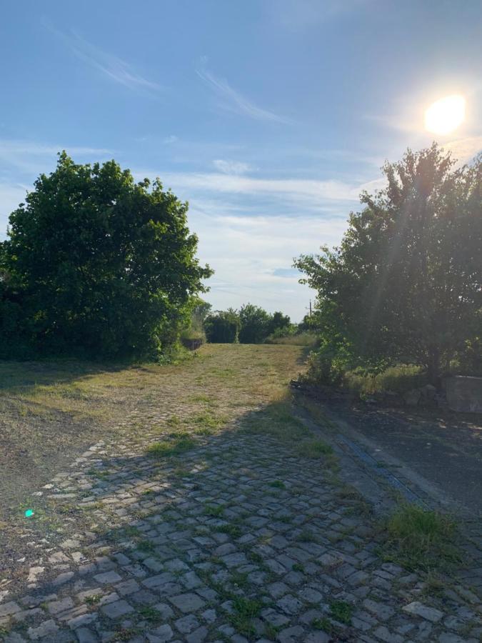 Lindenhof Apartman Hecklingen  Kültér fotó